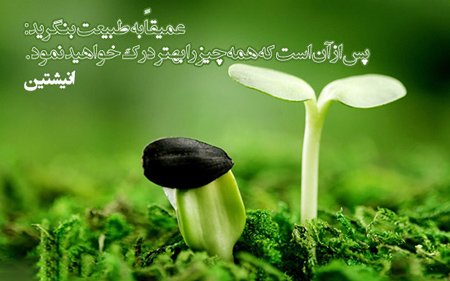  عکس پروفایل امید و آرزو