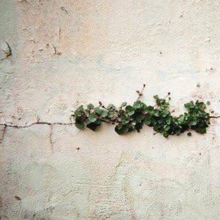  عکس امید به زندگی بدون متن