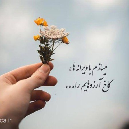  پروفایل امیدواری و موفقیت