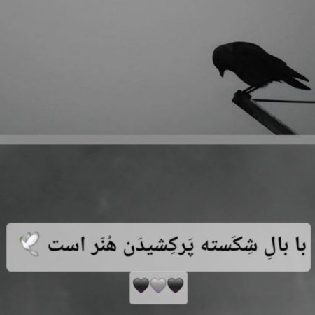  پروفایل امیدواری و موفقیت