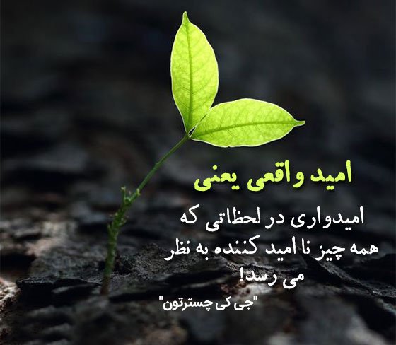  پروفایل امیدواری به اینده