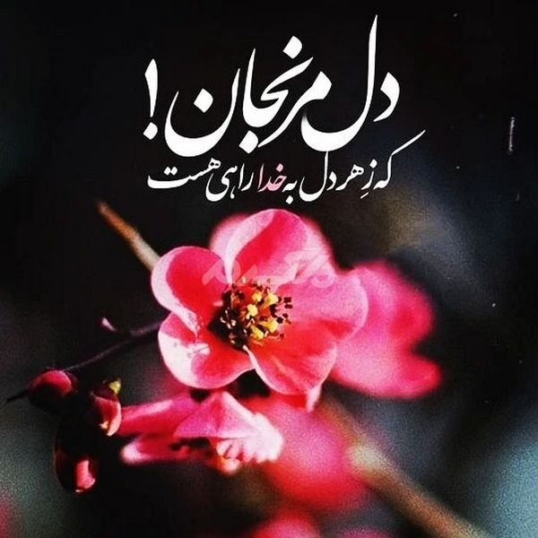  پروفایل خدا جدید