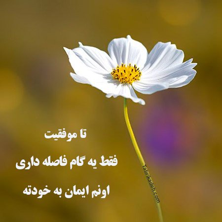 عکس انگیزشی برای درس خواندن