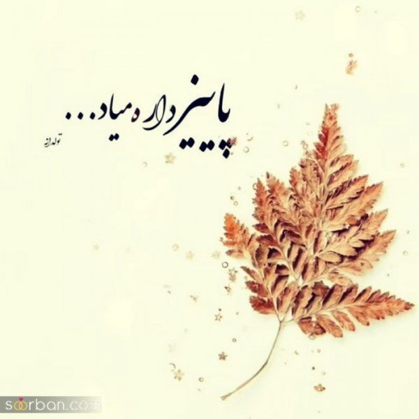  عکس انگیزشی پاییزی