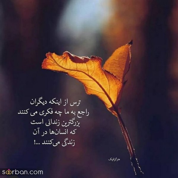  عکس انگیزشی پاییزی