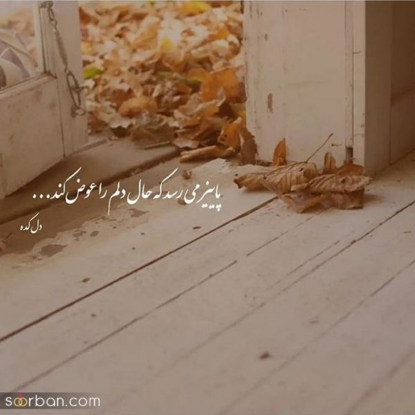  عکس انگیزشی پاییزی