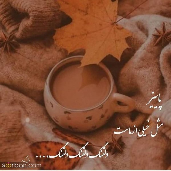  عکس انگیزشی پاییزی