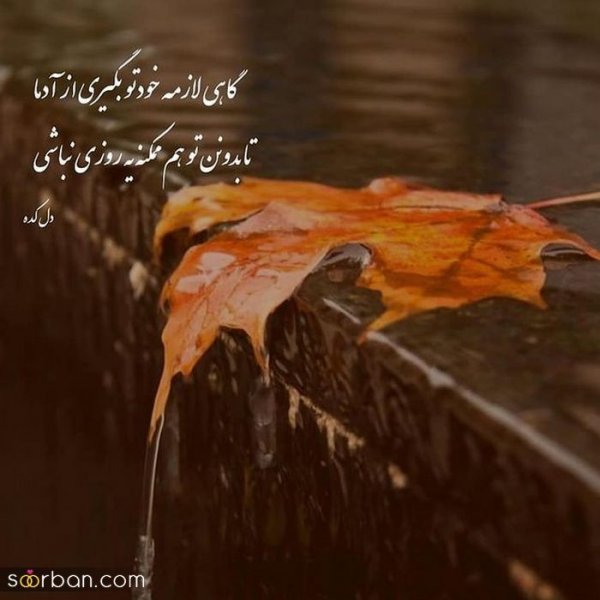  عکس انگیزشی پاییزی