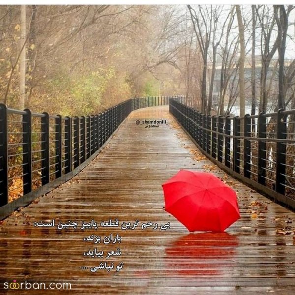  عکس انگیزشی پاییزی