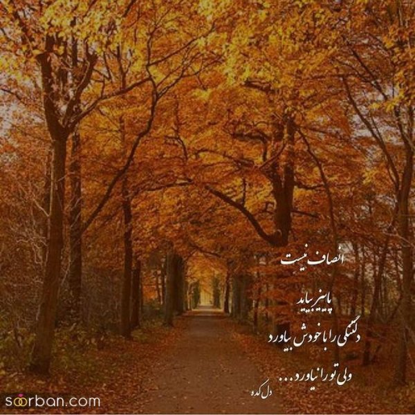  عکس انگیزشی پاییزی