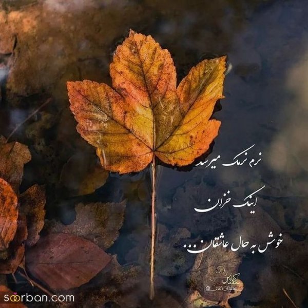  عکس انگیزشی پاییزی