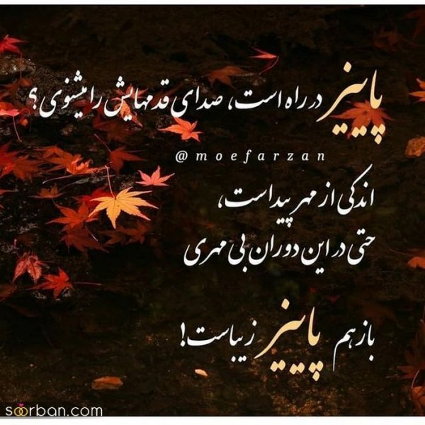  عکس انگیزشی پاییزی