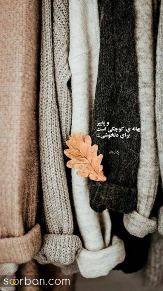  عکس انگیزشی پاییزی
