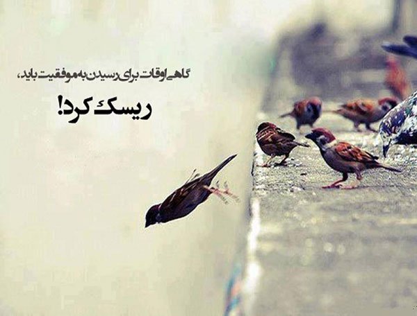  عکس انگیزشی تربیت بدنی
