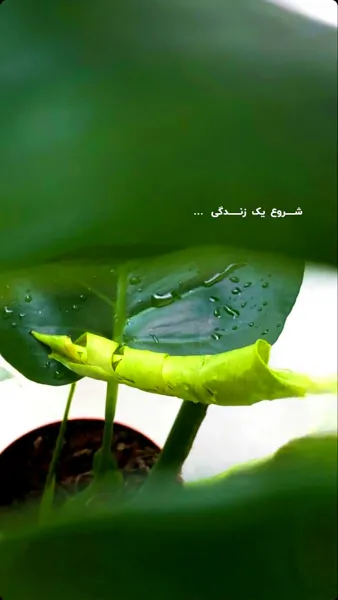 عکس انگیزشی حال خوب