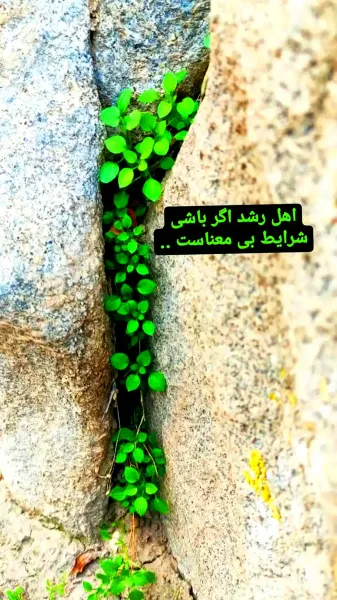  عکس انگیزشی حال خوب