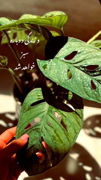  عکس انگیزشی حال خوب