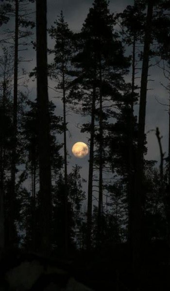  عکس آسمان شب واقعی