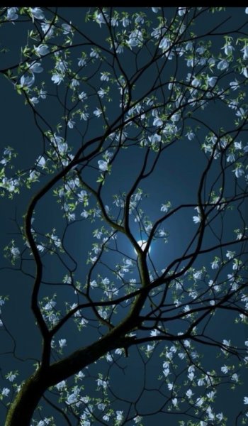  عکس آسمان شب برای پروفایل