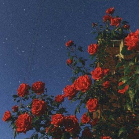 عکس آسمان برای پروفایل