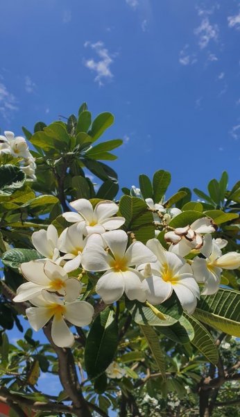  عکس آسمان طبیعی روز