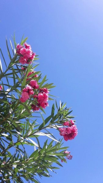  عکس آسمان طبیعی روز