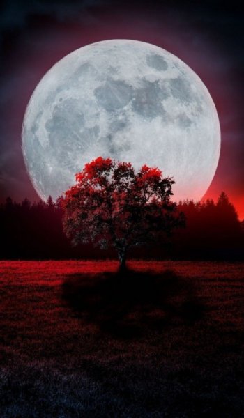  عکس آسمان شب زیبا