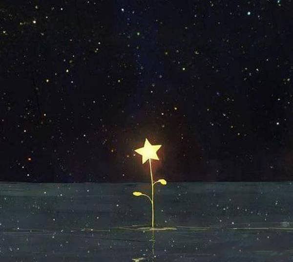  عکس ستاره برای پروفایل