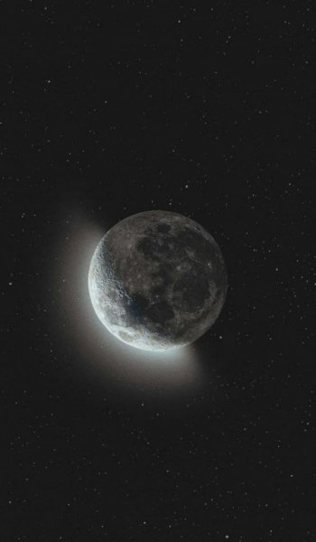  عکس ستاره سفید