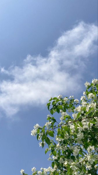  عکس آسمان ایران