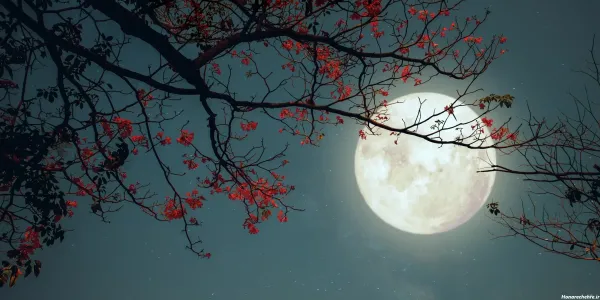 عکس ماه امشب ۱۴۰۴