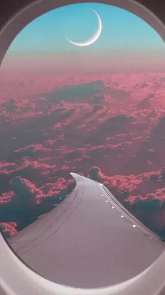  عکس از داخل هواپیما برای استوری