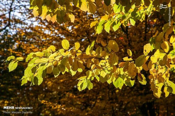  عکس اسمان پاییز