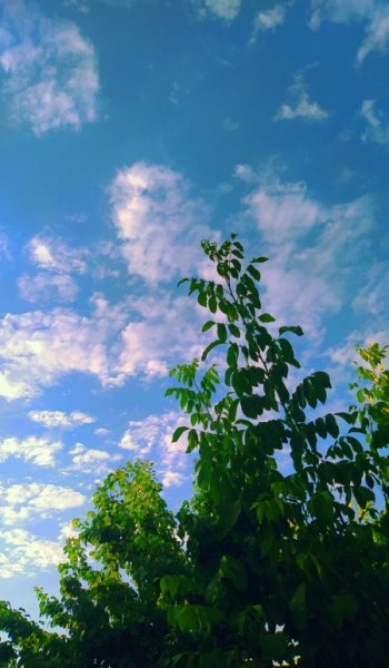  عکس اسمان پس زمینه