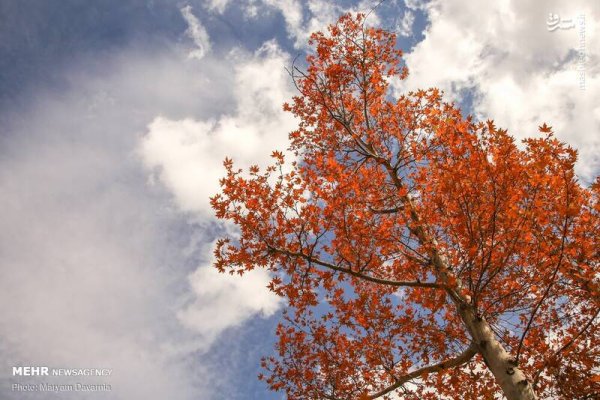 عکس آسمان پاییزی