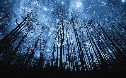 عکس ستاره فانتزی برای پروفایل