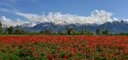  عکس آسمان ترکیه