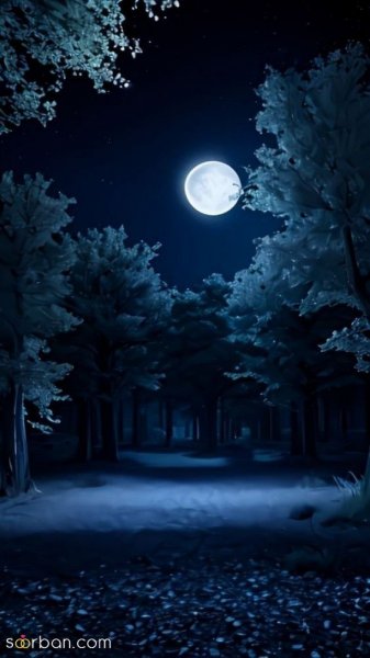  عکس آسمان تو شب