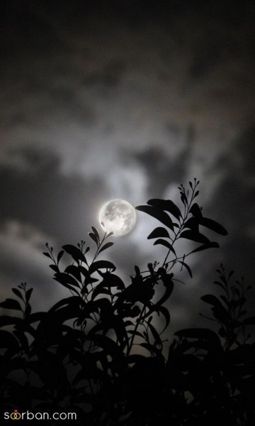 عکس آسمان تو شب