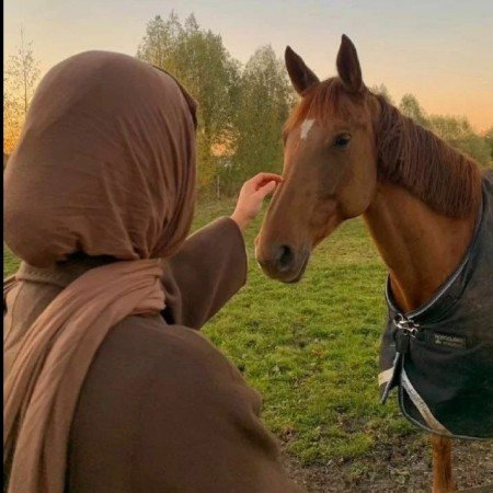  عکس پروفایل جنگل دخترانه