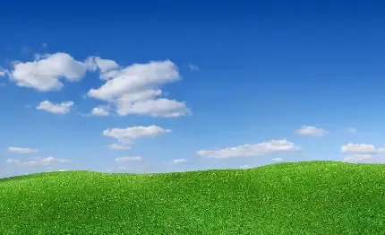  عکس اسمان و چمن
