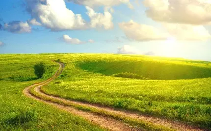  عکس اسمان و چمن