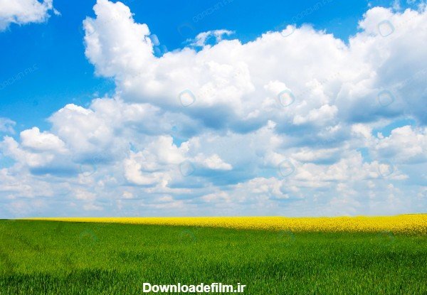  عکس چمن و گل طبیعی