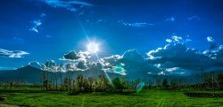  عکس چمن طبیعی