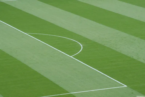  عکس چمن فوتبال طبیعی