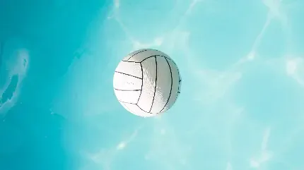  عکس والیبال برای پروفایل