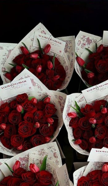  عکس والیبال برای پروفایل پسرانه