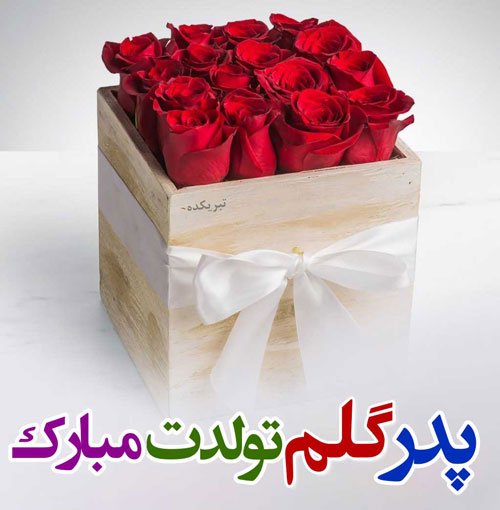  عکس تبریک روز تولد پدر