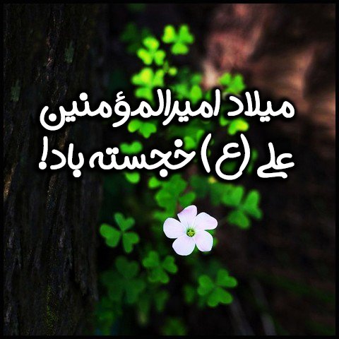  عکس تبریک ولادت حضرت علی و روز پدر