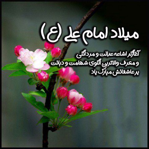  عکس ولادت حضرت علی